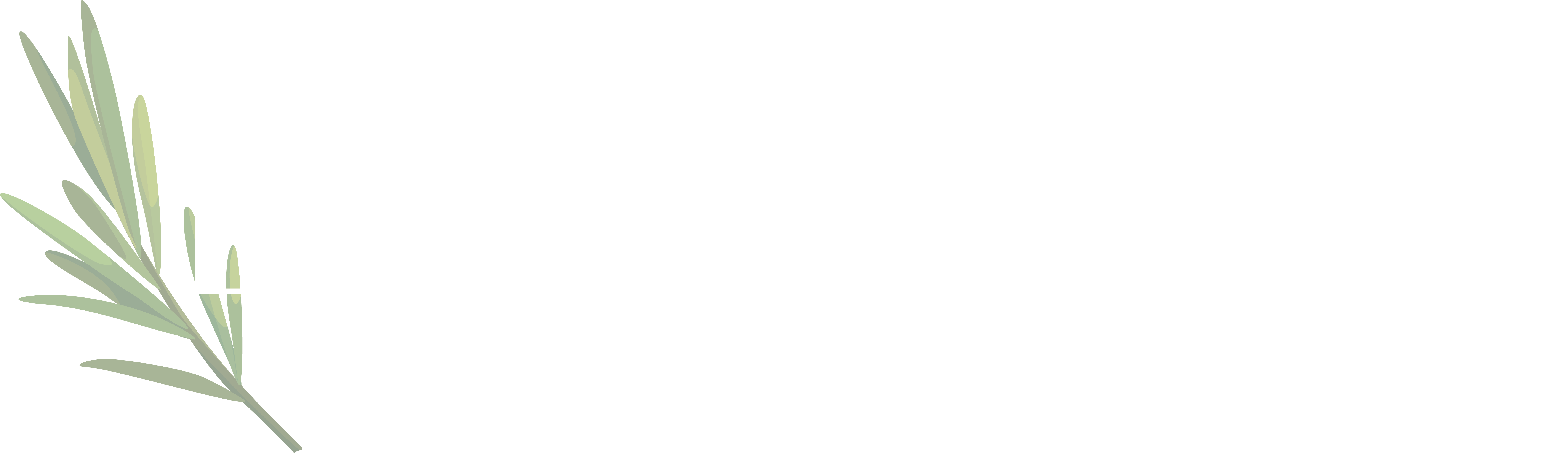 Lucinda's Day Spa and Hair Studio Logo